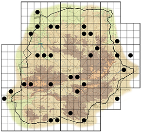 Eriboea achaemenes Waterberg distribution
